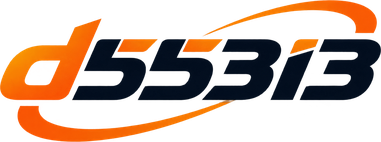 d55313